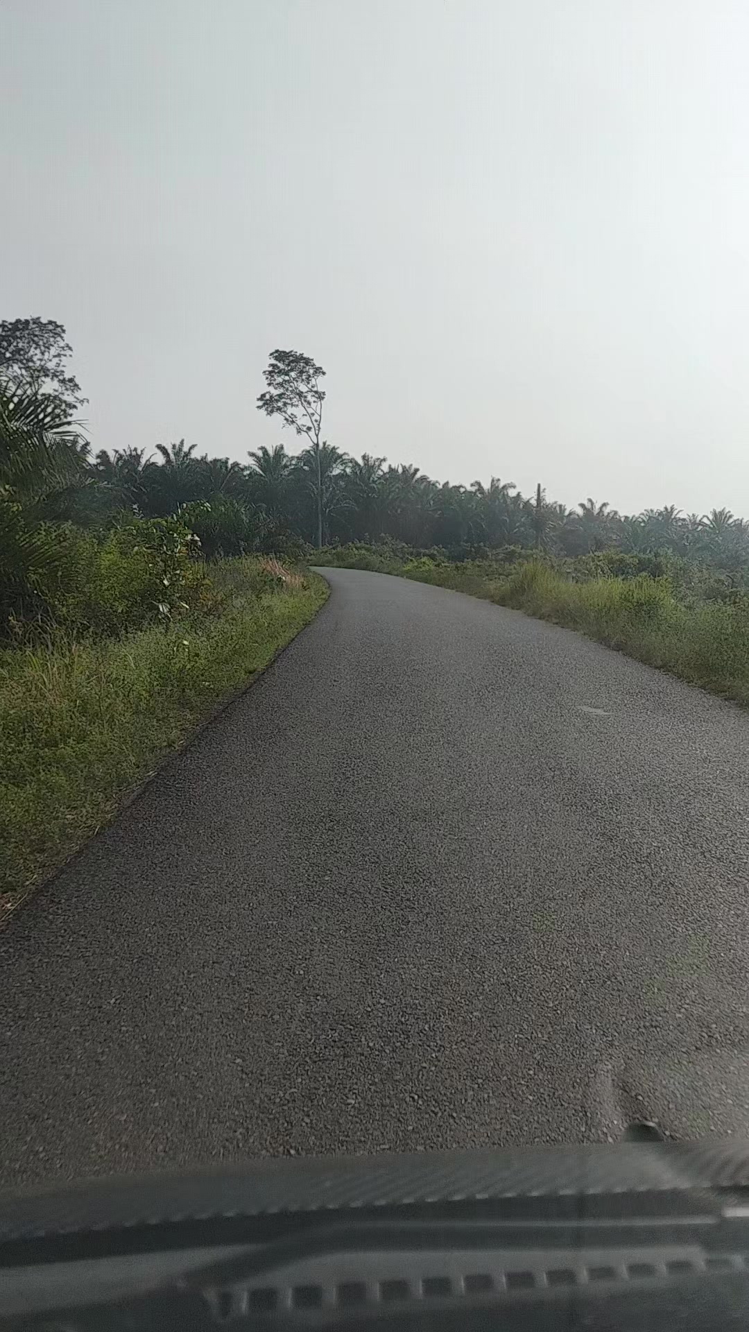 @kekasih bayangan