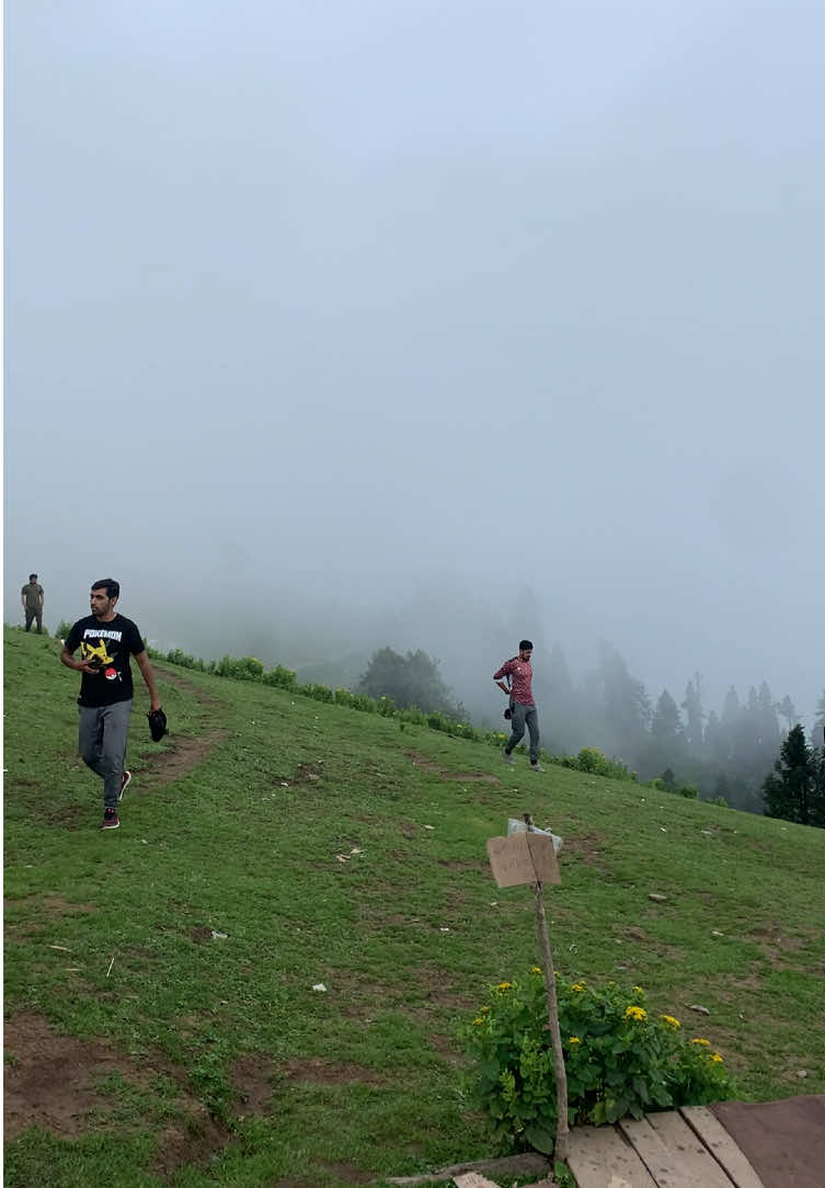 @Faisal (فیصل)