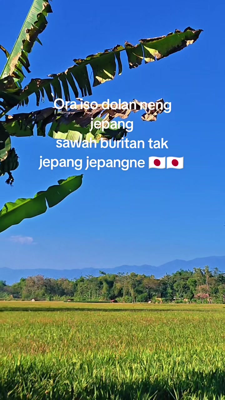 @aakgonelajah