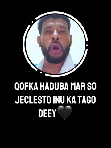 @hapipi🕊🤍