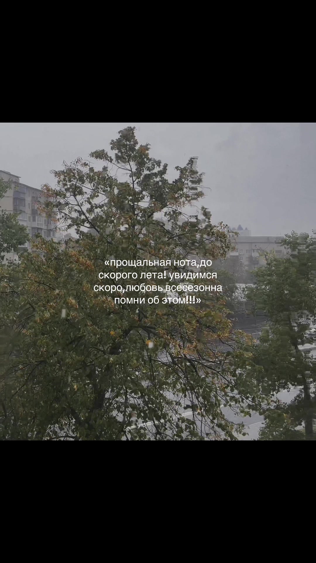 @viksis