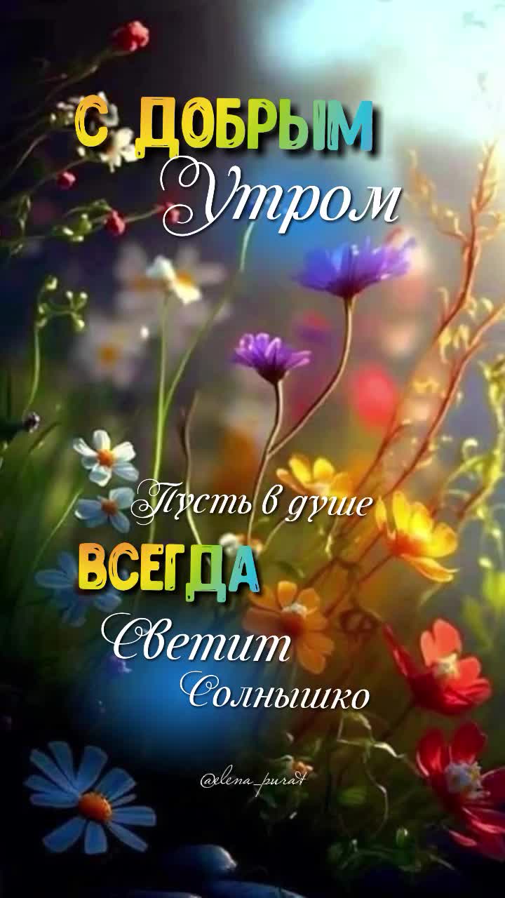 @ВидеоПОЗОР🙈😅