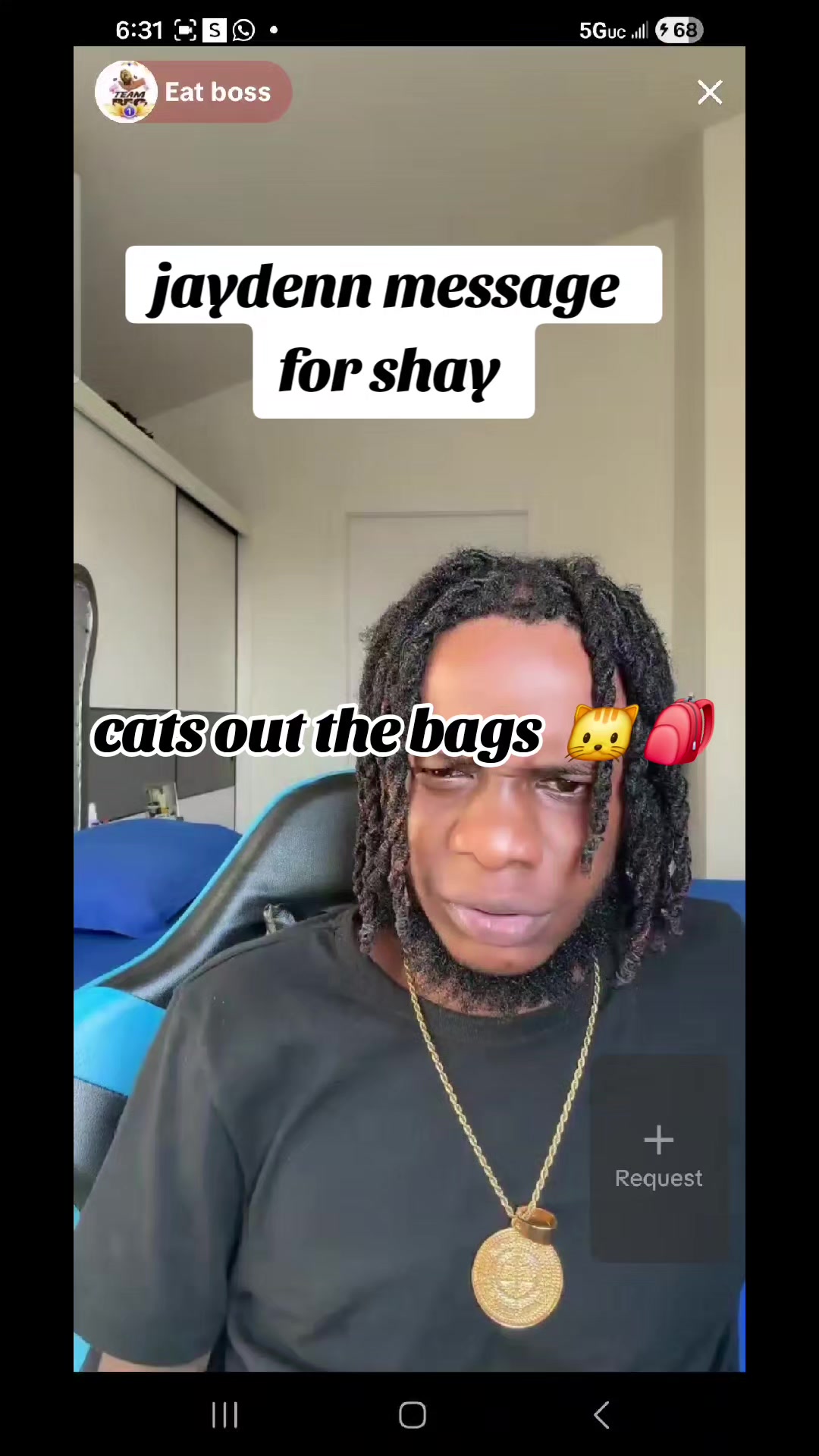 @cats out  the bags 🐱🐱🐱🐱🐱