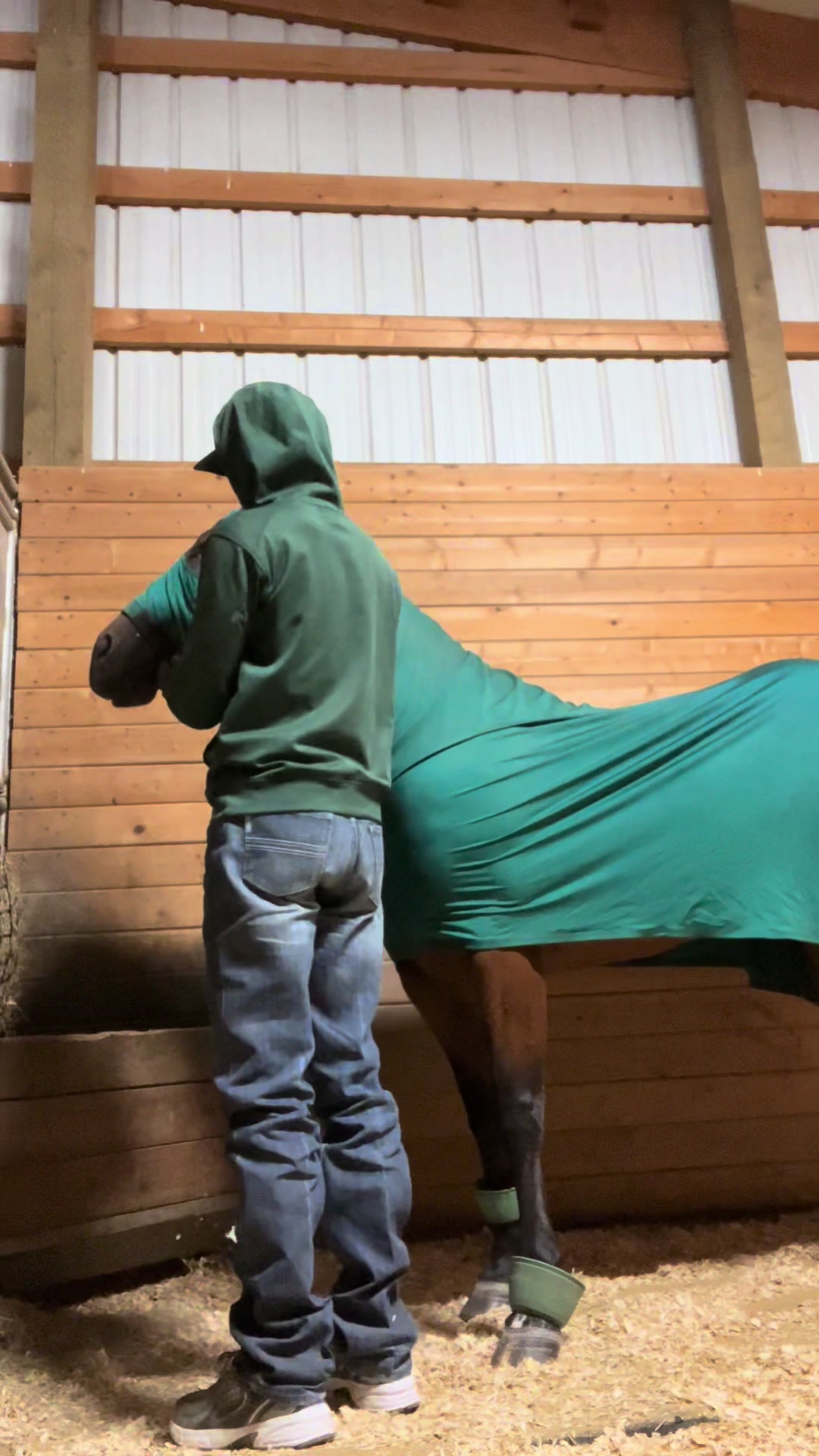 @Qualified Saddle Cleaning
