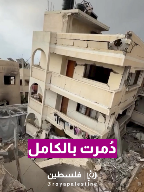 @Royapalestine رؤيا فلسطين