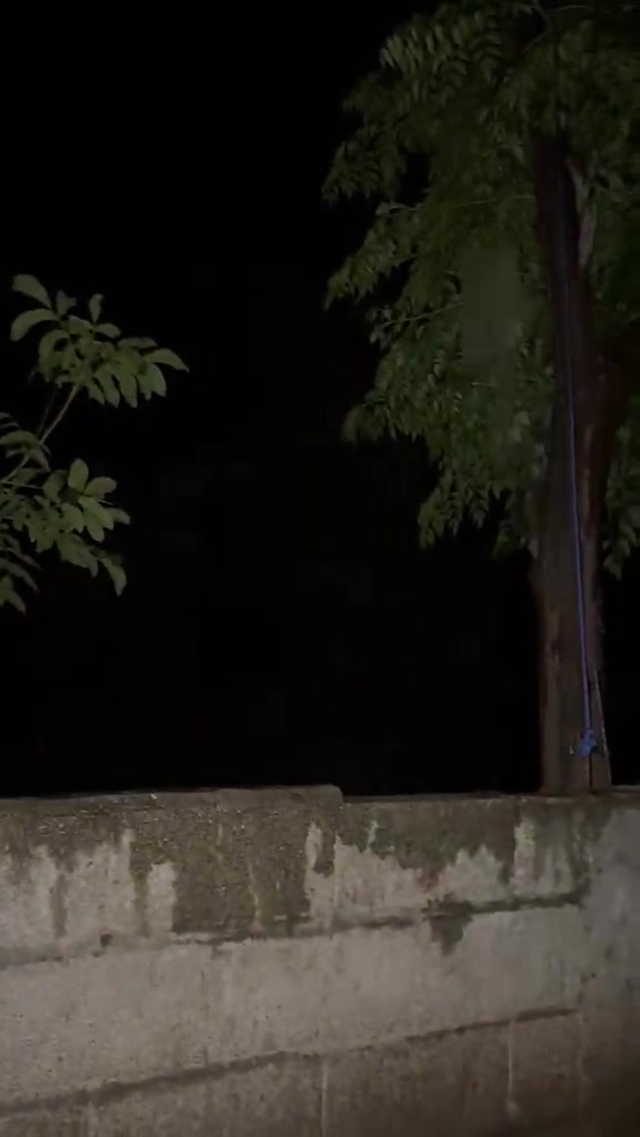 @بادشاہ