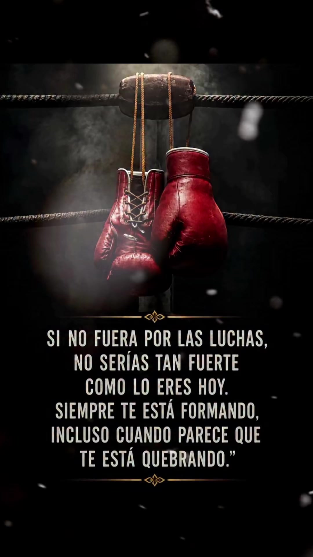 @Sergio García