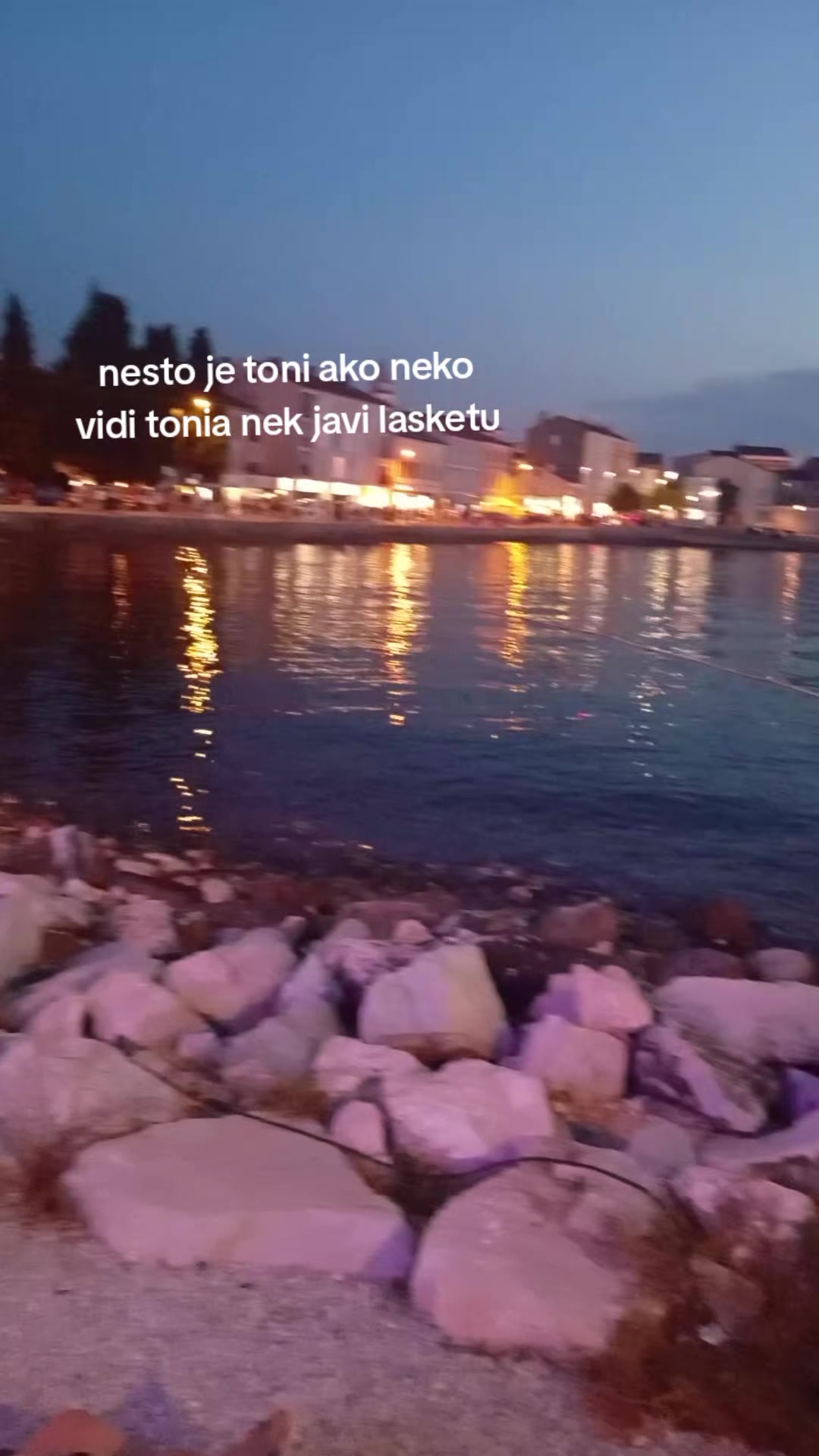 @toni montana cela familija 2