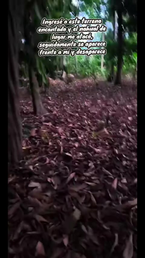 @🐺Dylan Urbex 502 🇬🇹🇧🇷👻