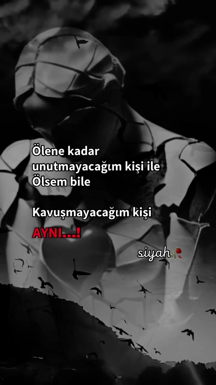 @𝗦𝗶𝘆𝗮𝗵🦋