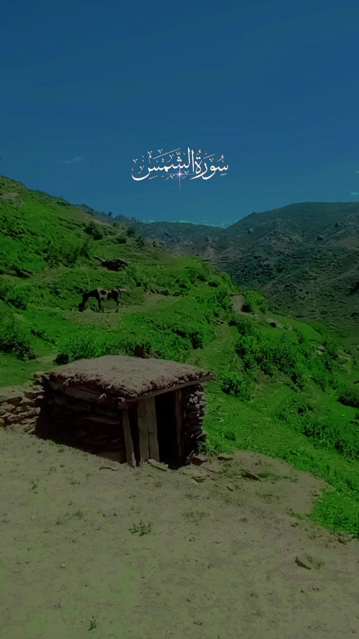 @🕊️Manawar shah🕊️