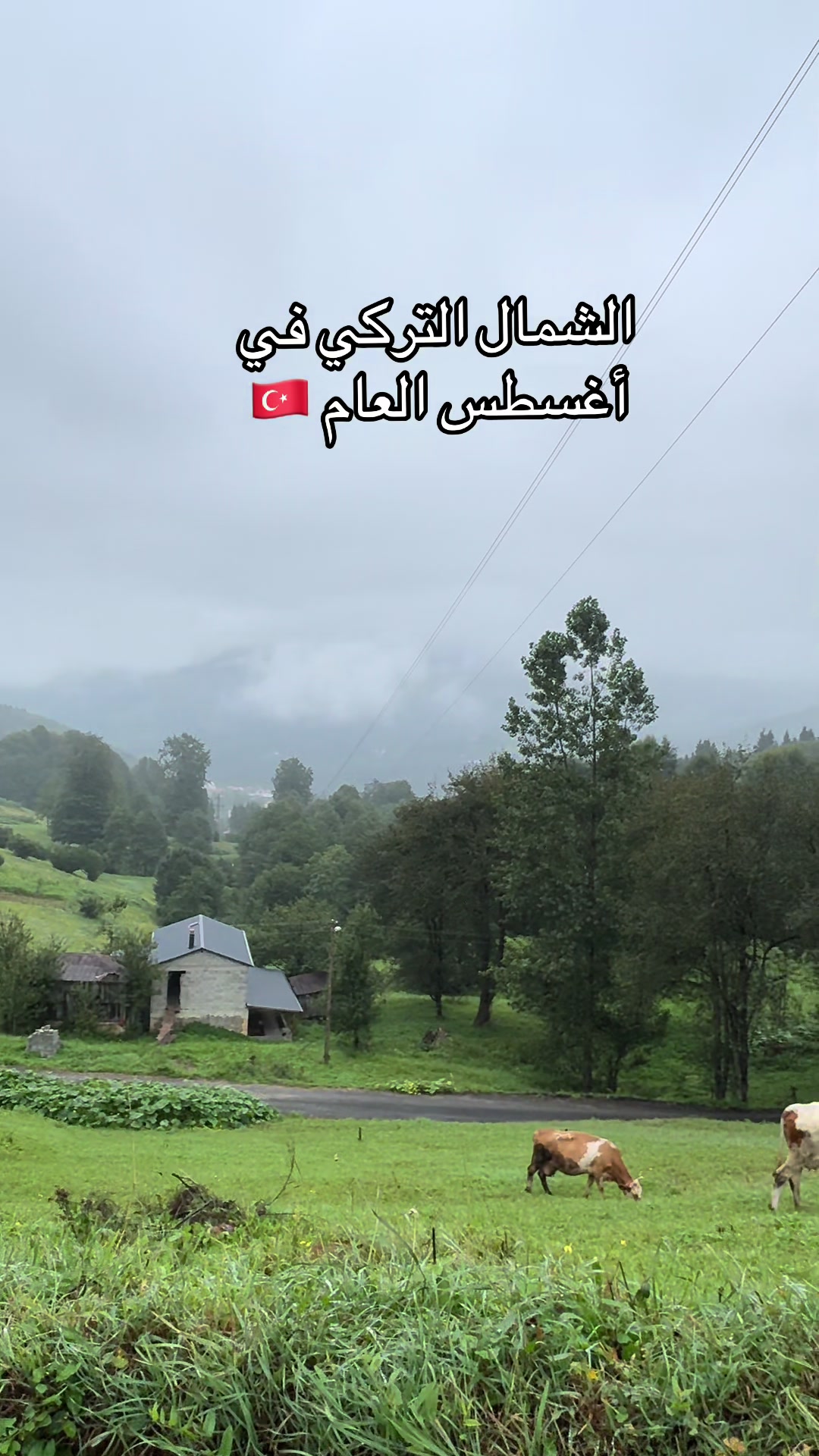 @خلطات كرز 🫧🍒(أم الأميرة )