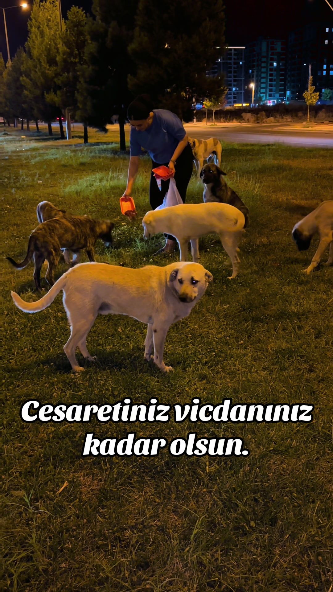 @Pınar AWZEYD