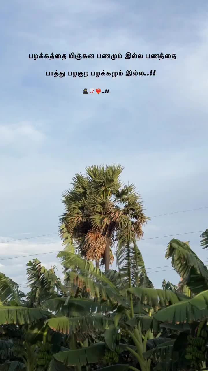 @🔥🔥🔥தஞ்சை ராஜா🐱🐱🐱💜💜💛💛