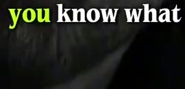 @darksidedmotivation