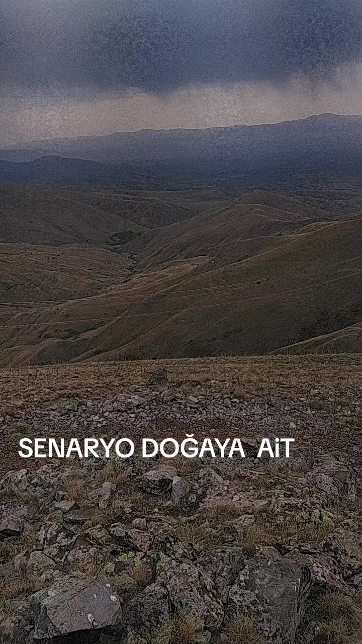 @Hamza Bayram