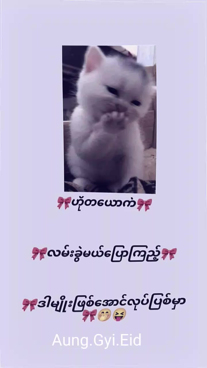 @MgAungGyi💥🇲🇲🎀