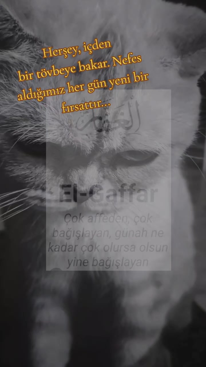 @hayatagülümse2