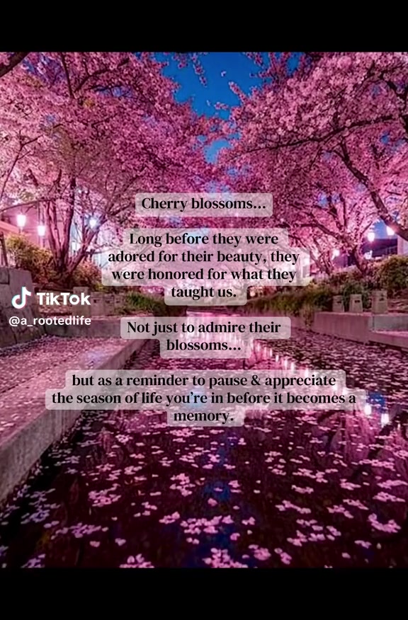 @Ceecee Sass๐G7๐ฆ๐ถ๐