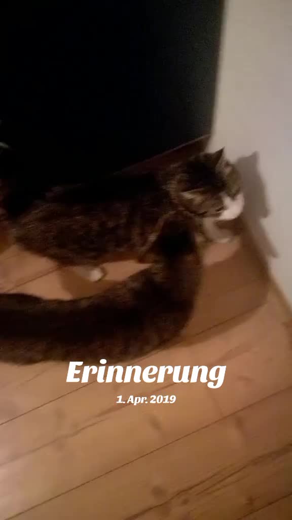 @Jennytier