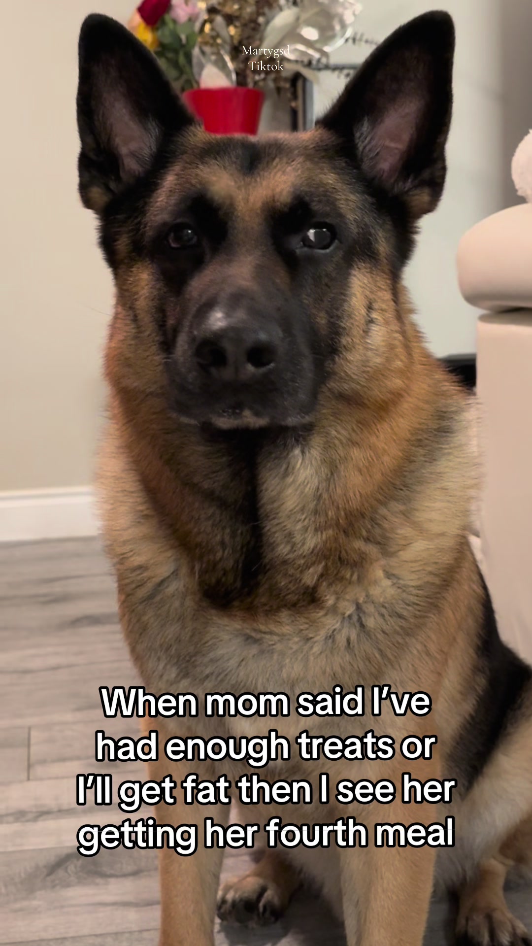 @Martygsd