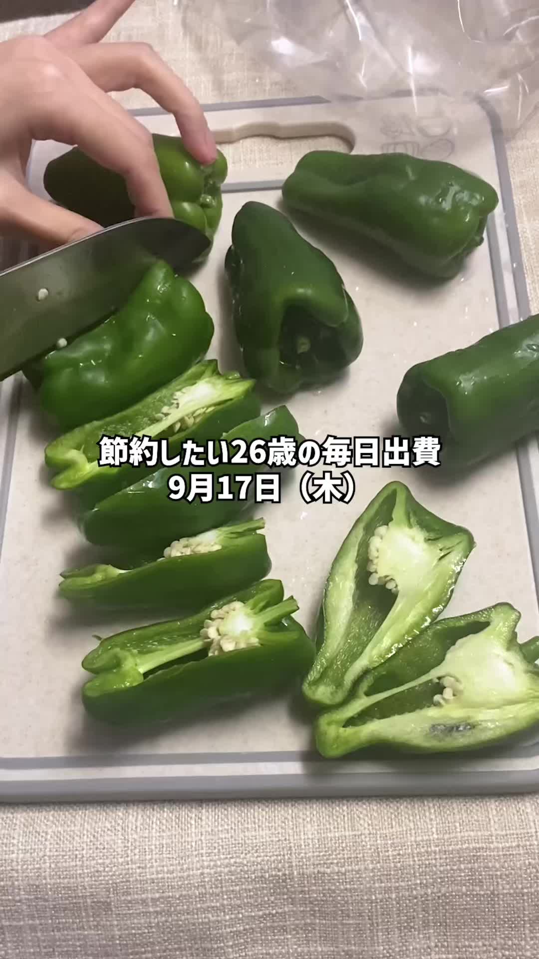 @節約したい26歳の毎日出費