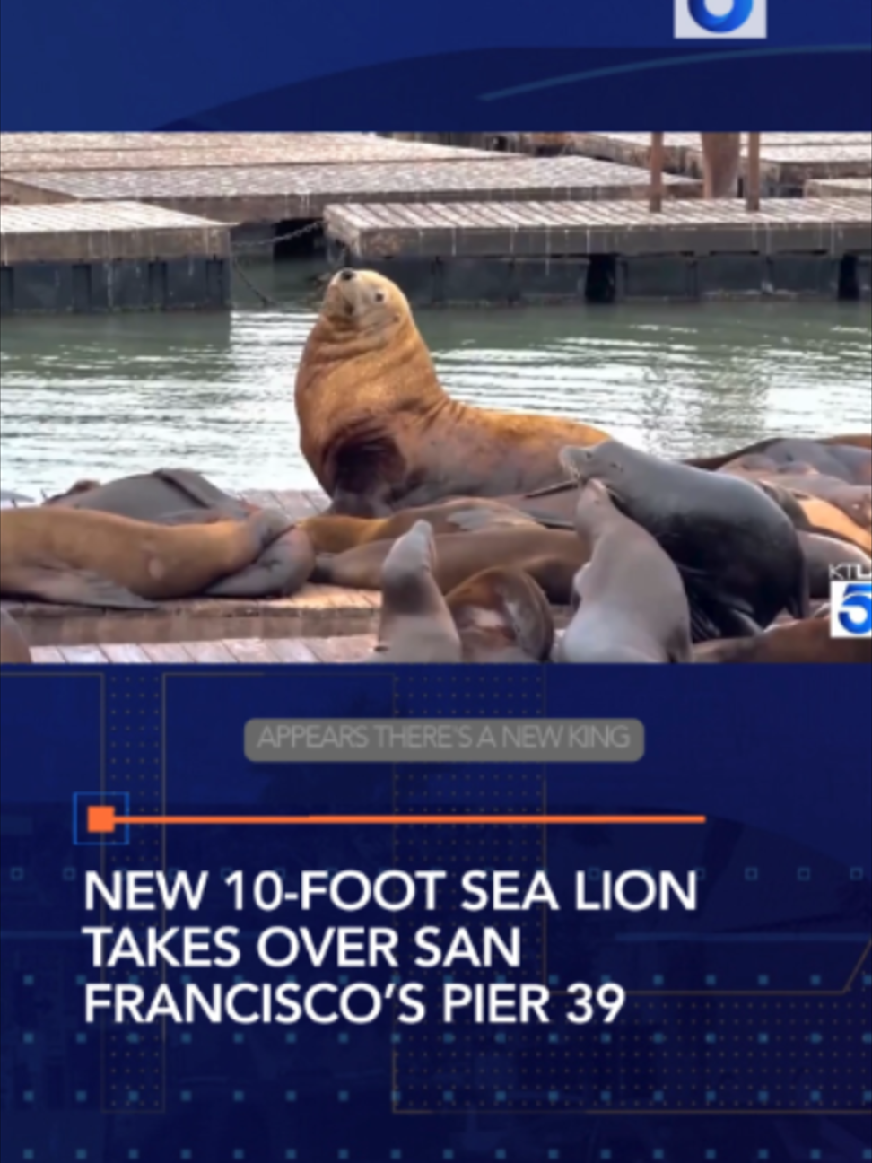 @KTLA 5 News