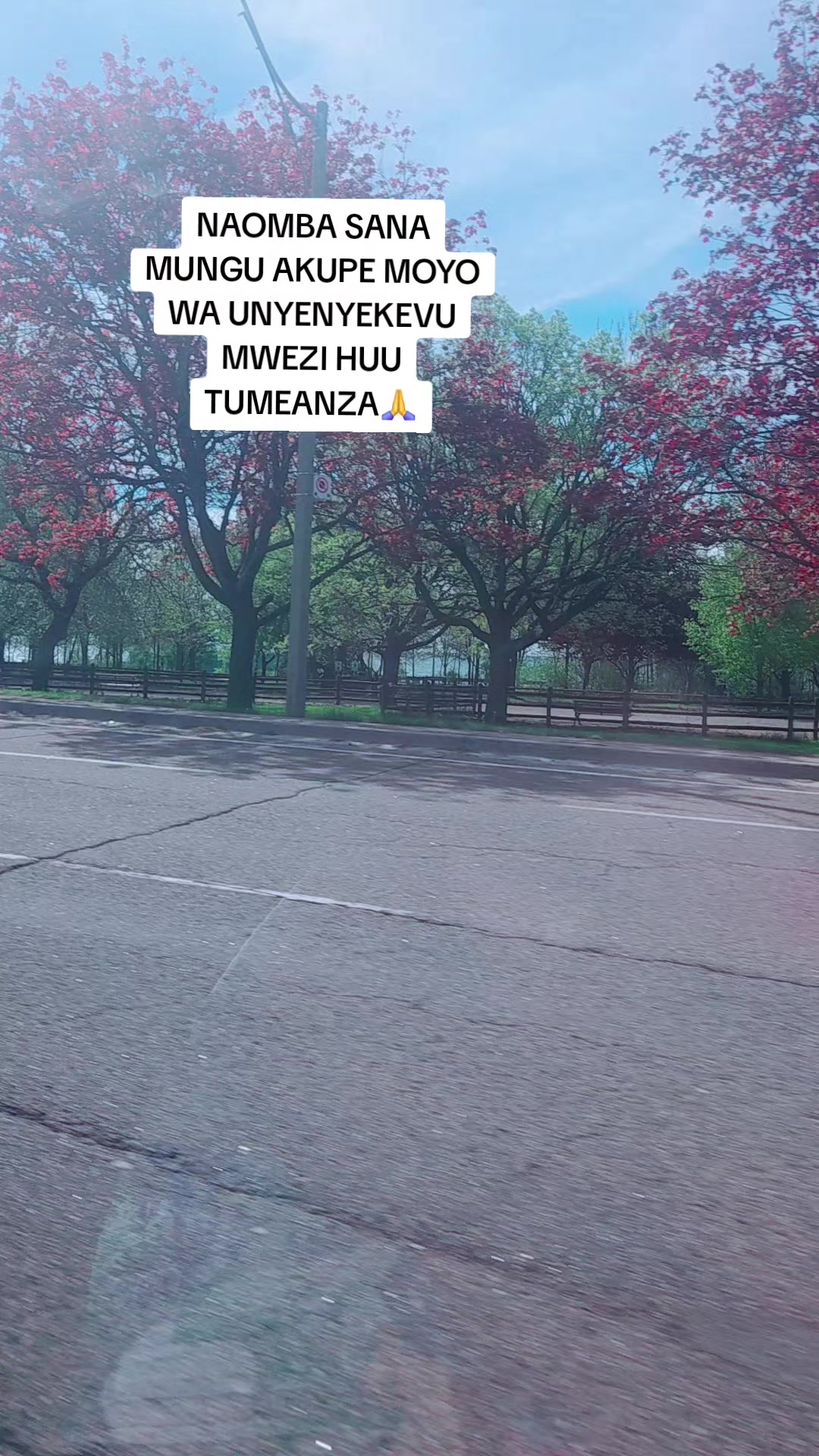 @GOD OF WONDERS🇨🇦🇺🇸