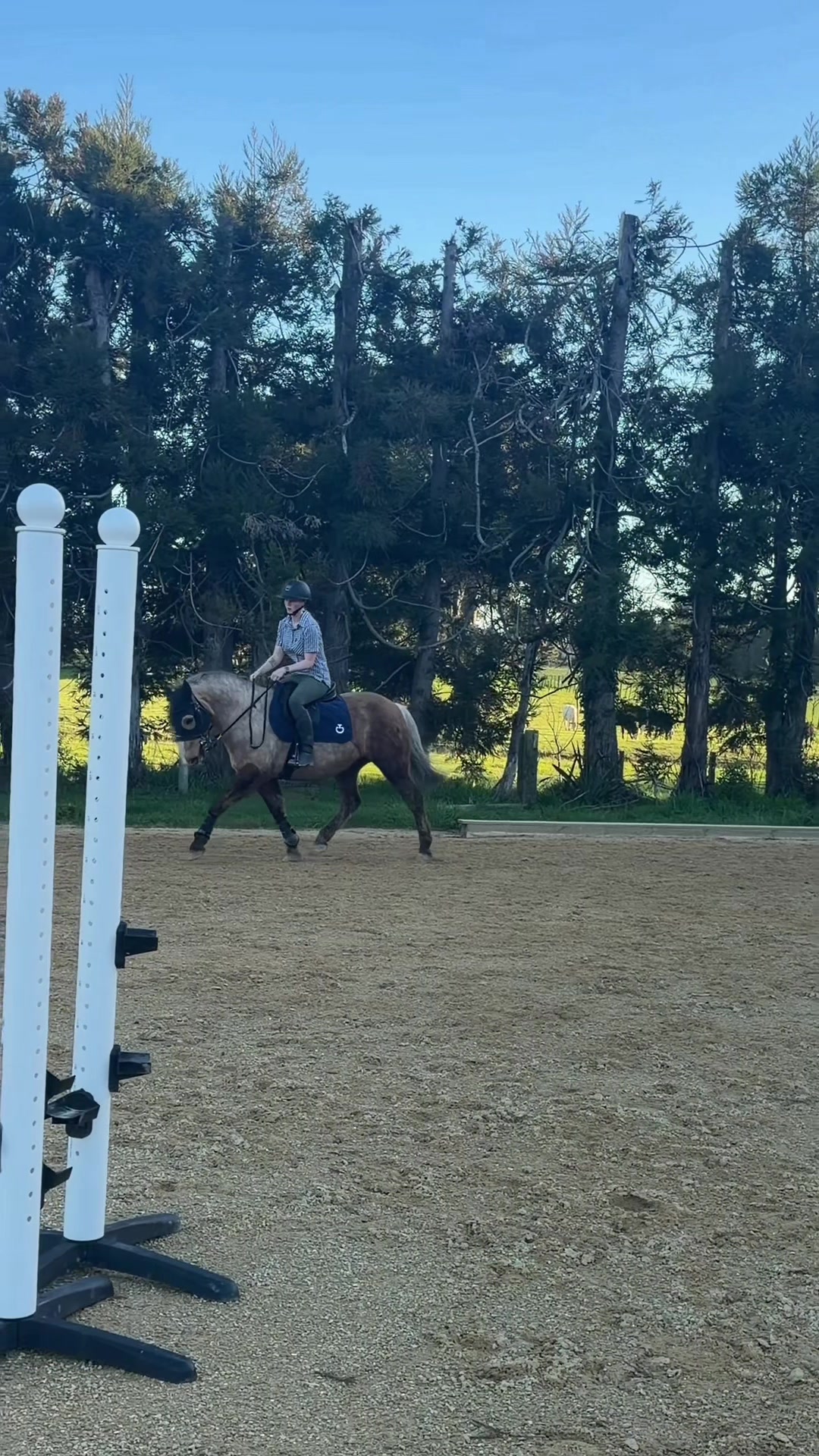 @Savanah_equestrian
