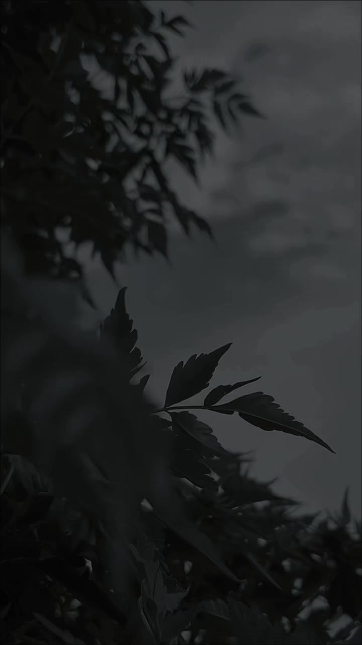 @راحآــ💔ــين