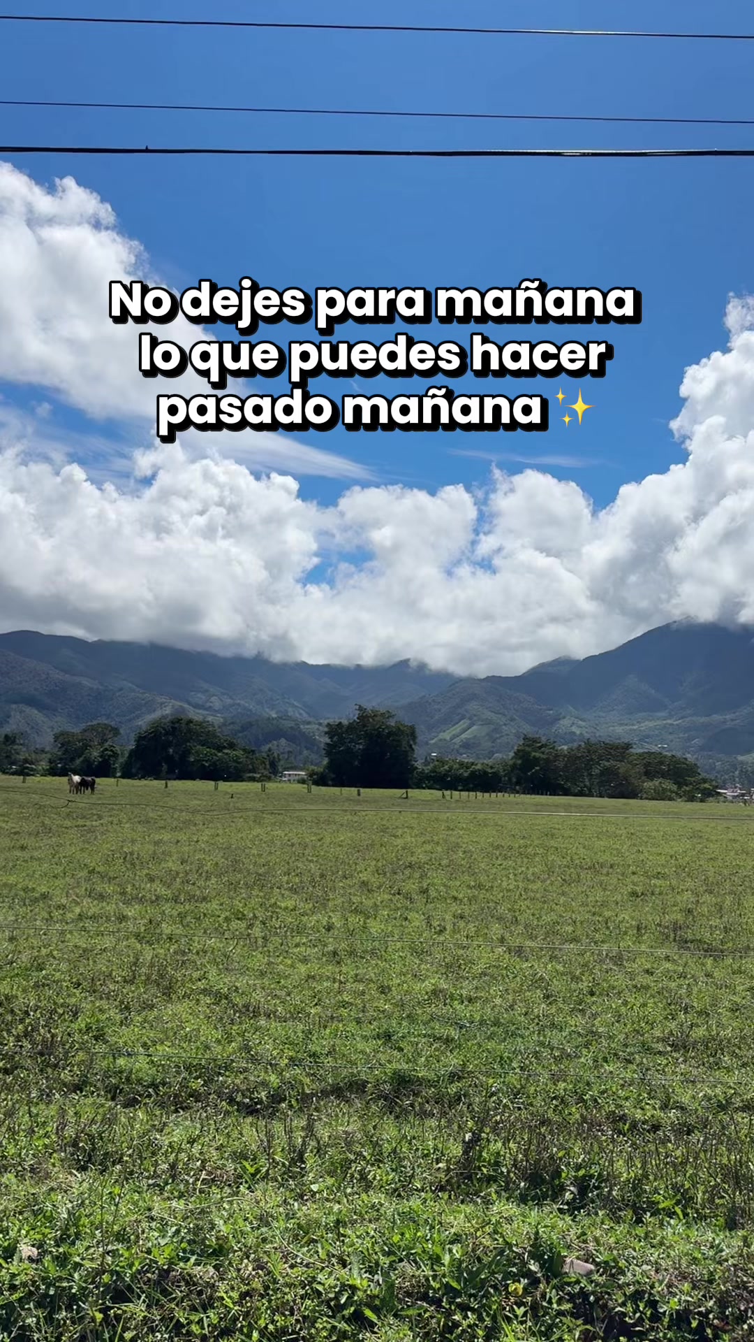 @Fiorella Oquendo