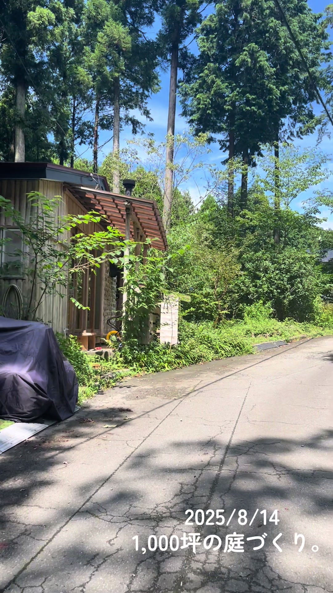 @若林昭子