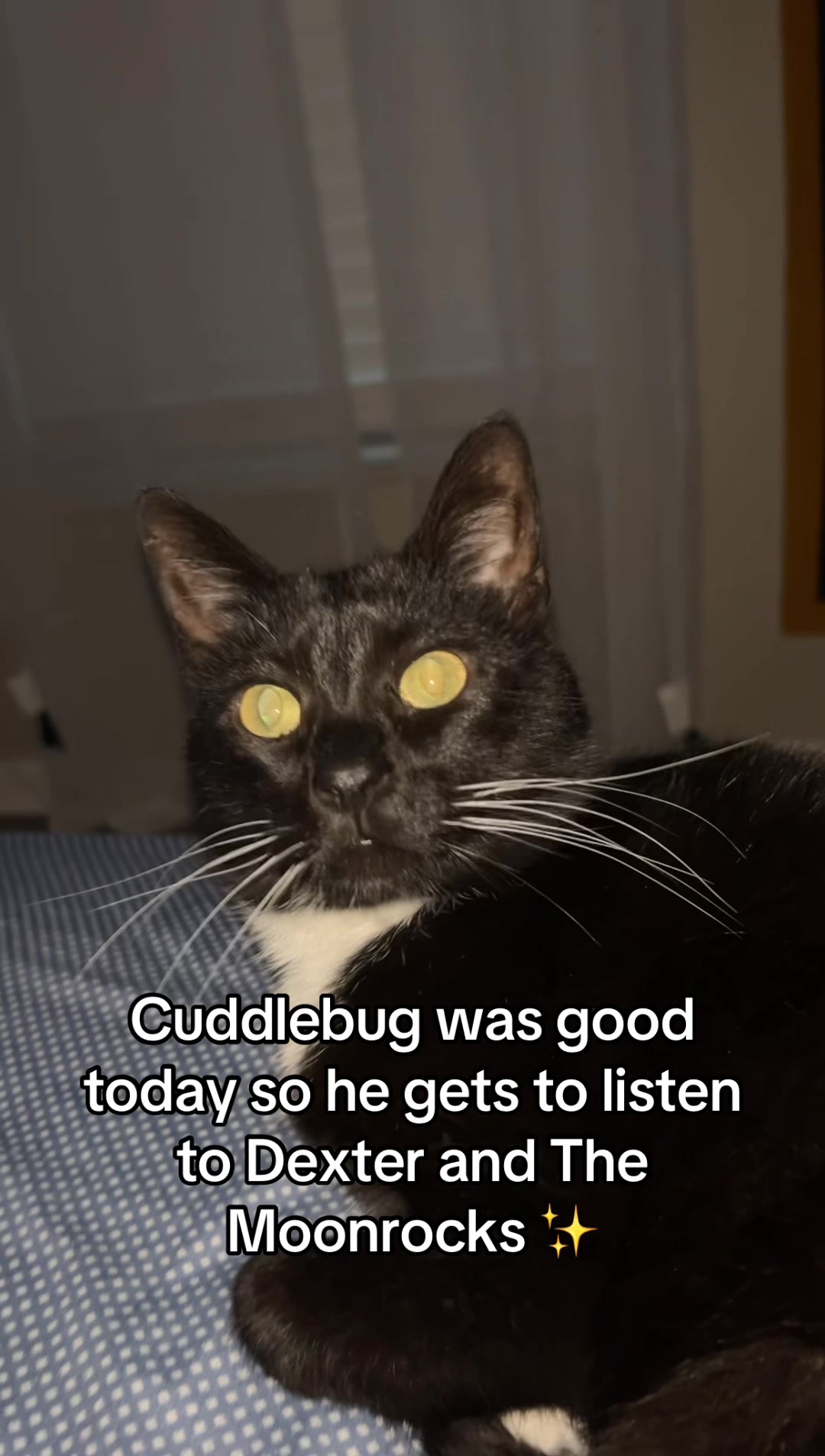 @CuddleBug