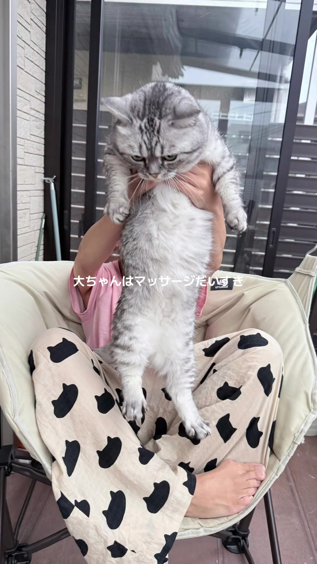 @大福兄弟😽