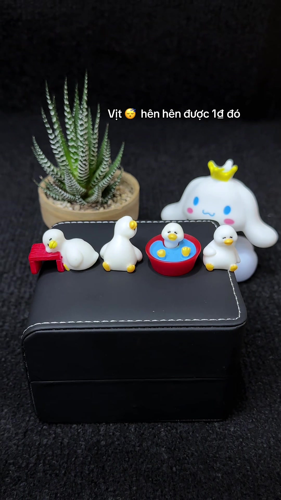 @Kim Hồng