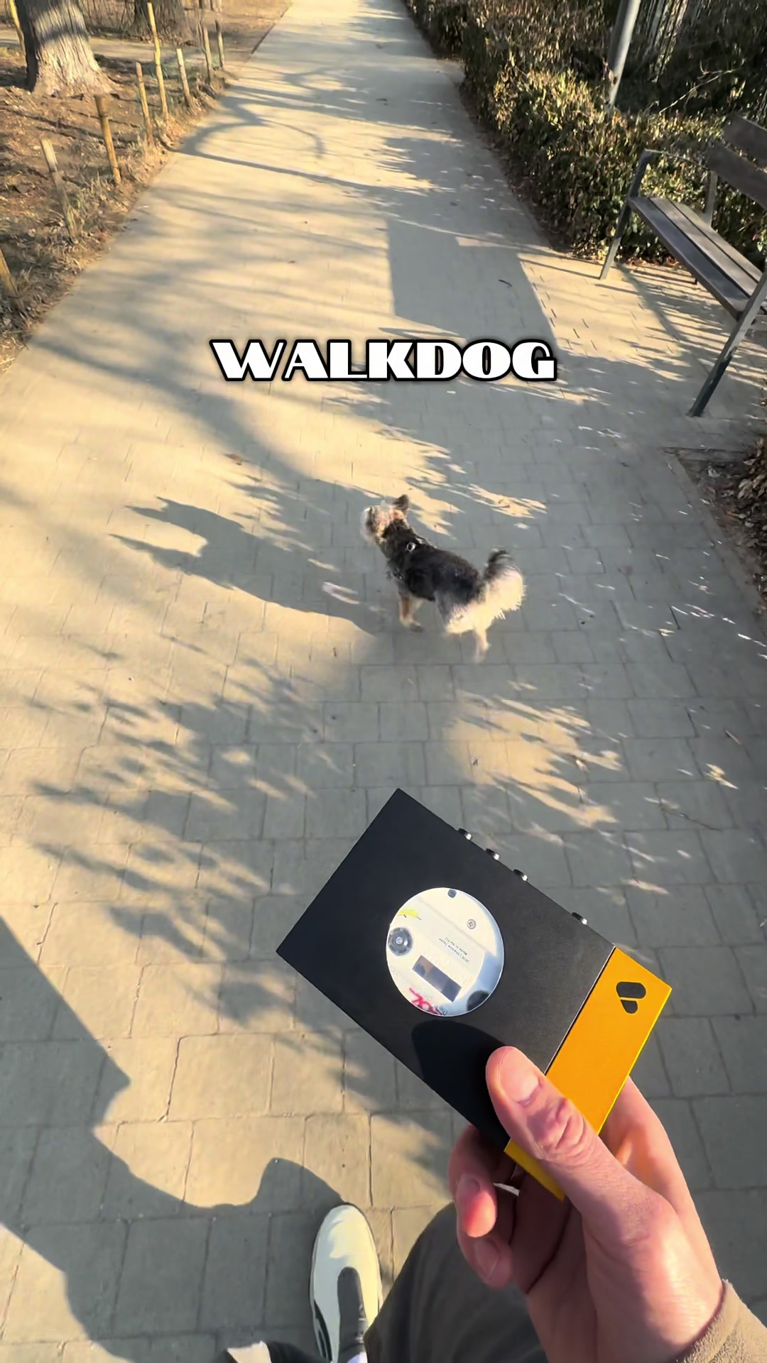 @deck