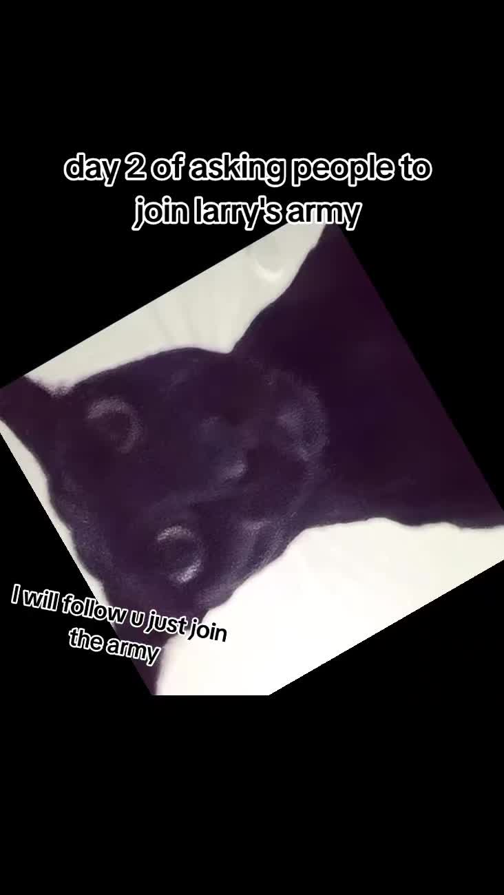 @𝓰𝓮𝓳𝓸𝔀𝓼𝓴𝓳_𝓱𝓪𝓰𝓲