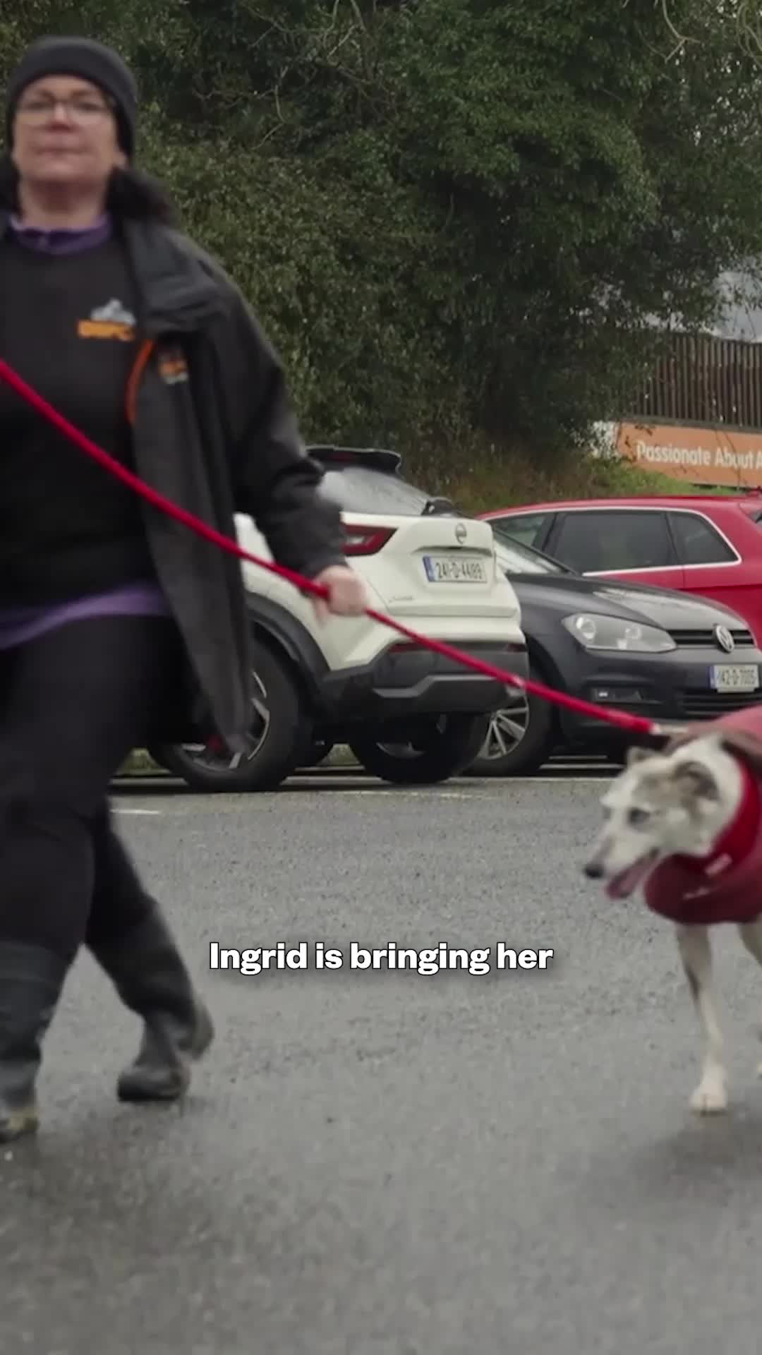 @RT&Eacute; One