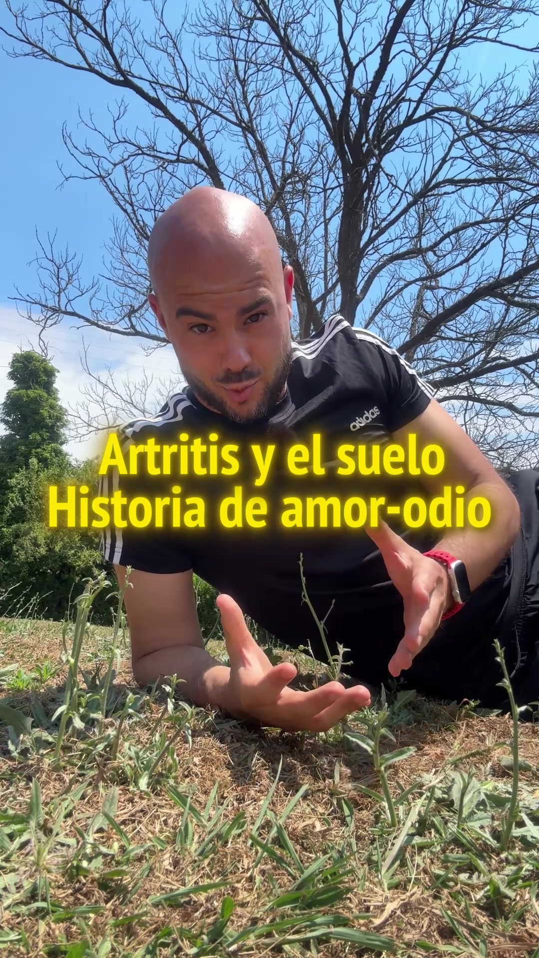 @Fernando Mèndez García