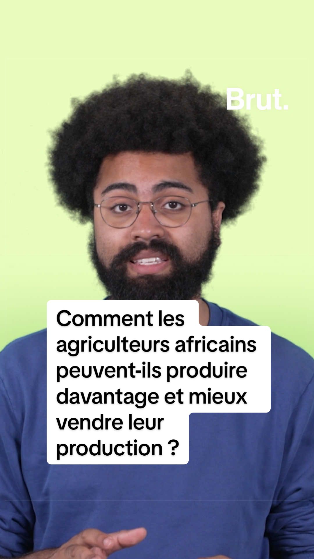 @Brut. Afrique
