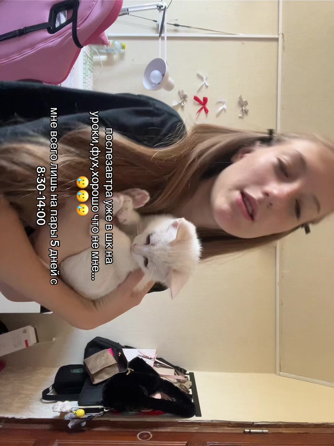 @samuseva🪽