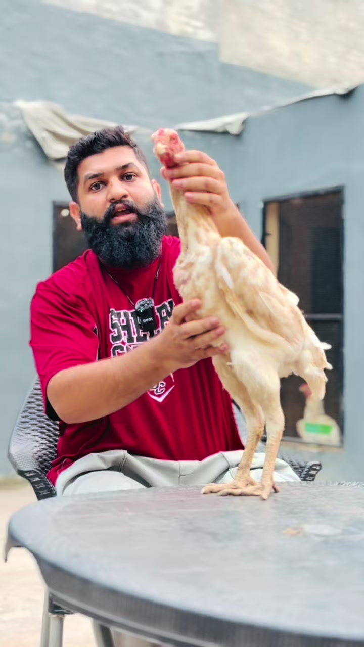 @Hopeland Parrotbeak