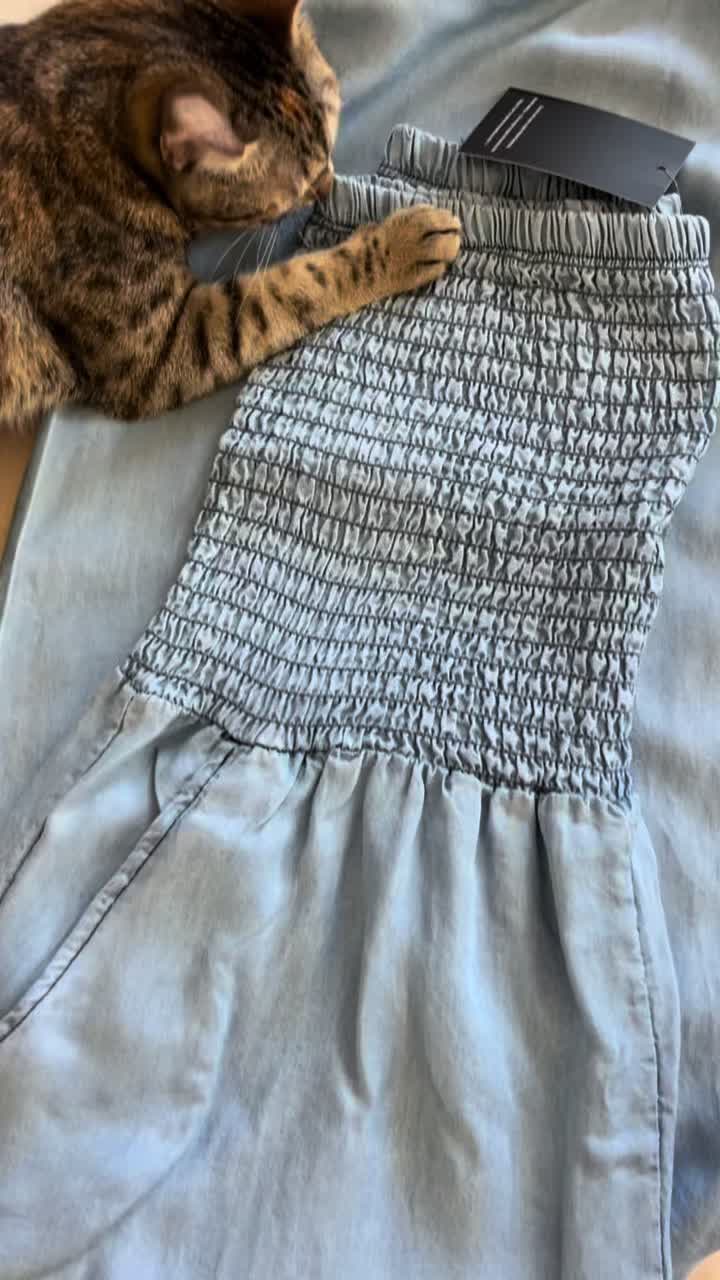 @veeronicadallavalle
