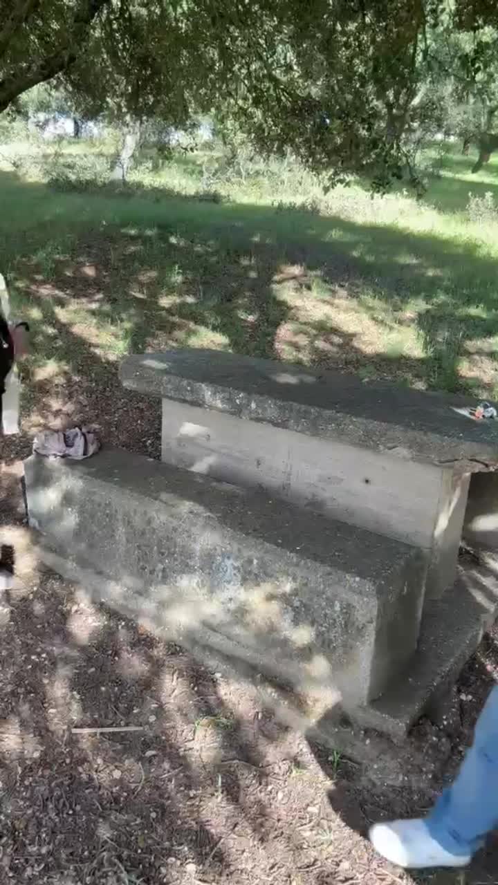 @Azafranal 43