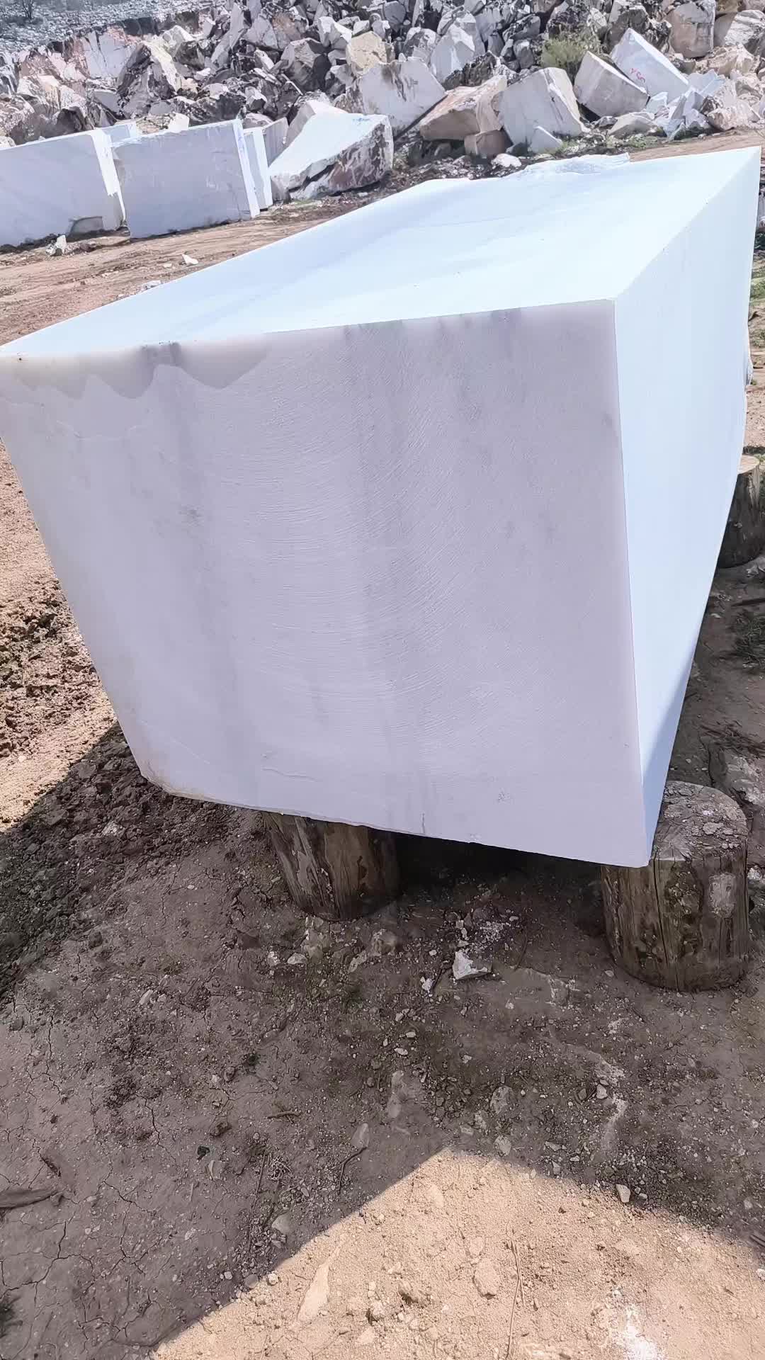 @Birgül Şen 03