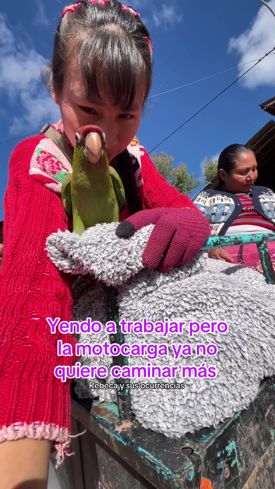 @🐈Rebeca y sus ocurrencias