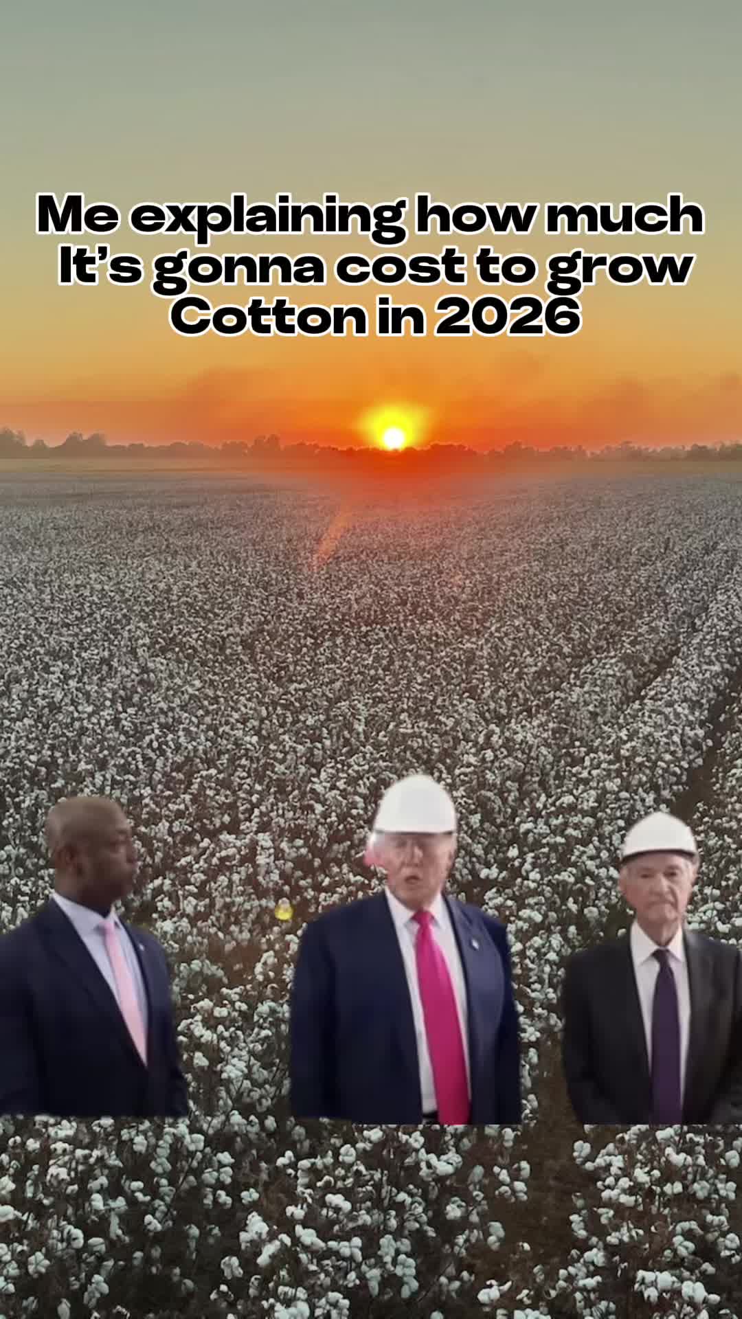 @PTCOTTON