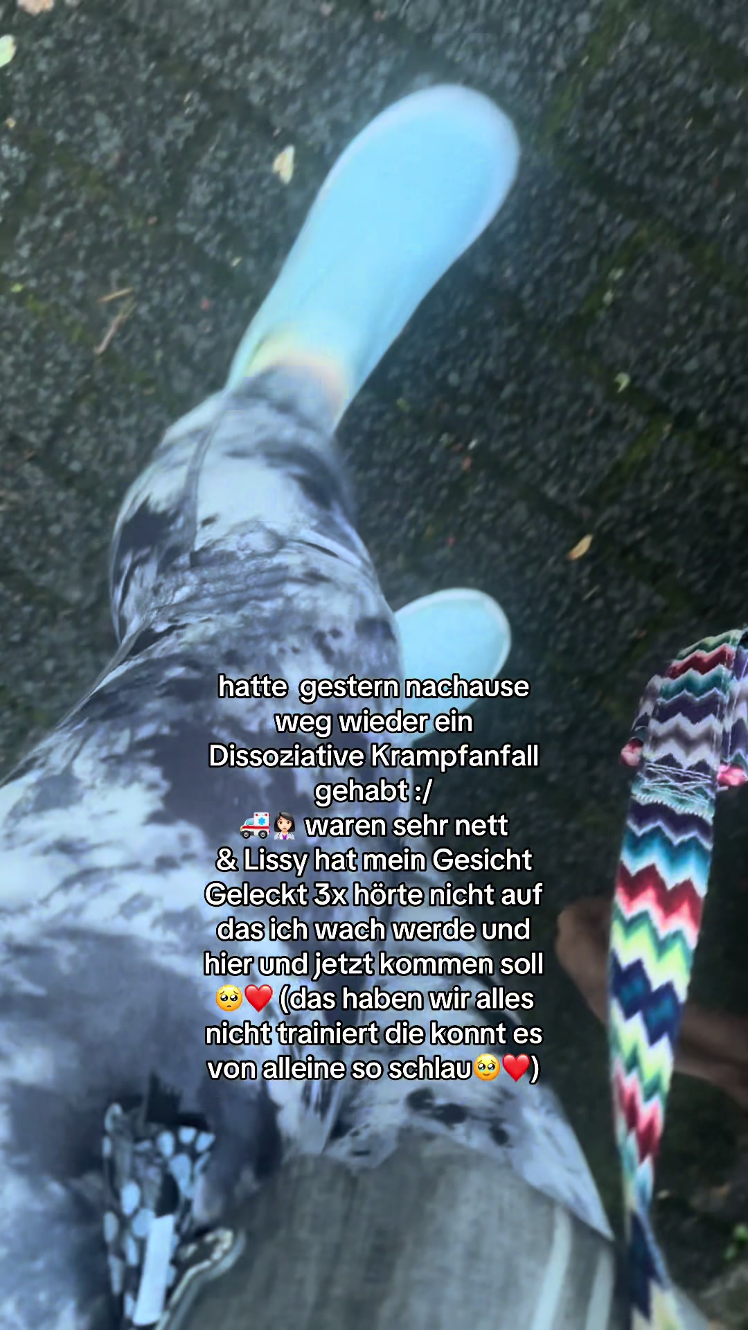@teamlidialissy