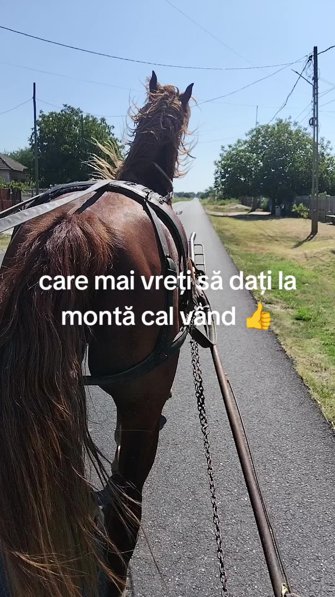 @💎Gigi & Cosmina ❤️