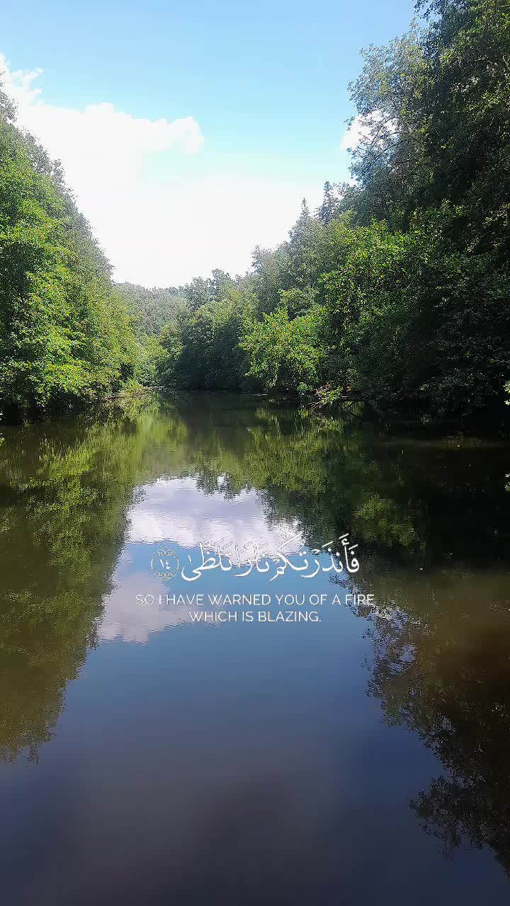 @🐺گرگ تنها🐺
